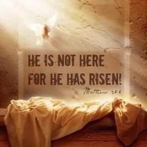 Meet your Posher, Trisha